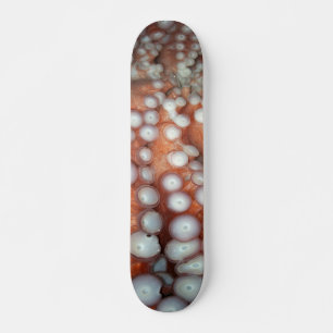 Avlasta nära oktopus skateboard bräda 19,5 cm
