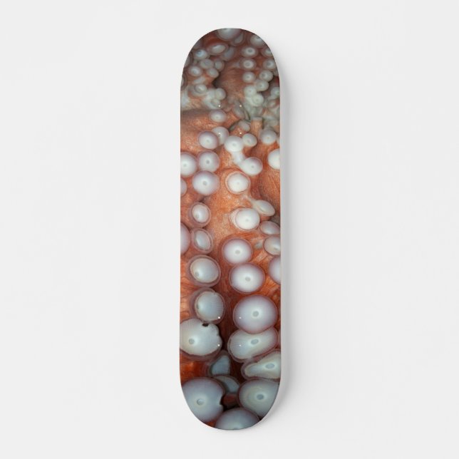 Avlasta nära oktopus skateboard bräda 19,5 cm (Framsida)