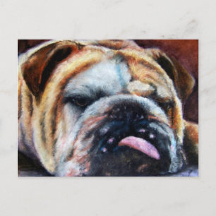 Avlastade vykort (Bulldog)
