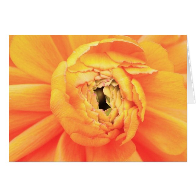 Avlinding Hälsningskort (Framsidan Horizontal)