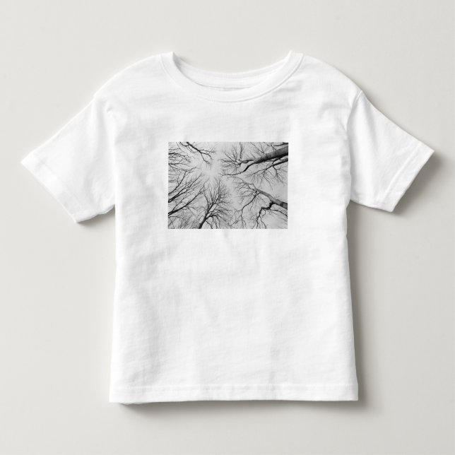 Avlövade träd i Thiepval trä T-shirt (Framsida)
