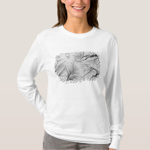 Avlövade träd i Thiepval trä T Shirt
