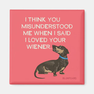 avlyssnare, hund magnet