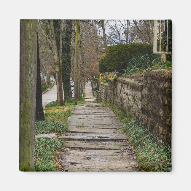 Avnivåbana Magnet (Framsidan)