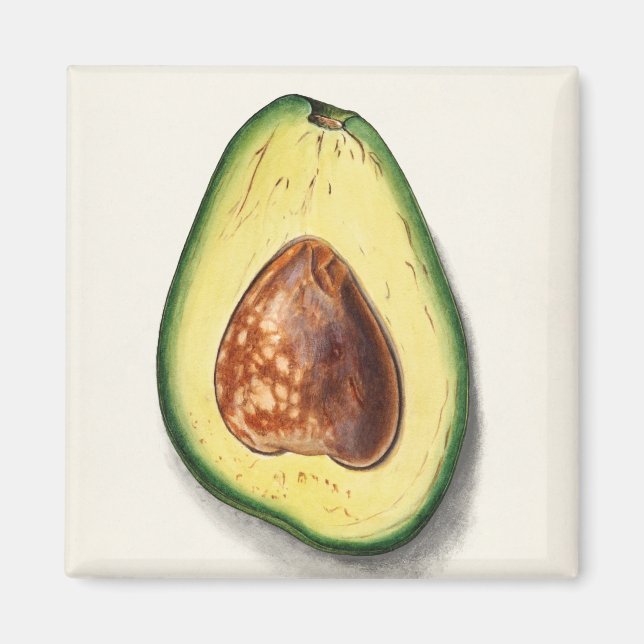 Avocado Magnet (Framsidan)