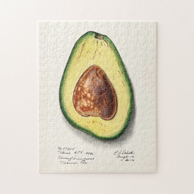 Avocado (Persa) färgsfärg för frukt Pussel (Vertikal)