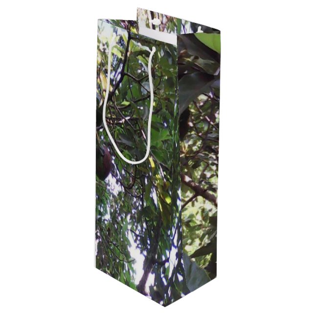 Avocado Träd (Framsidan Vinklad)