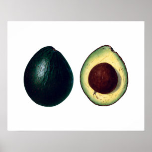 AVOCADOS botaniska utskrift Poster