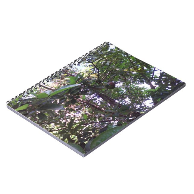 Avocadoträd Anteckningsbok (Vänstra Sidan)