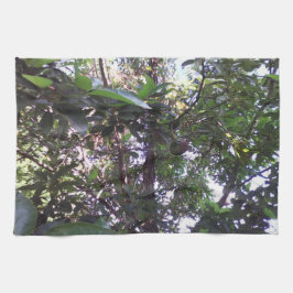 Avocadoträd Kökshandduk