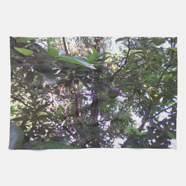 Avocadoträd Kökshandduk (Horisontell)