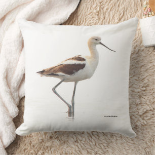 Avocet Bird Strullande stranden i stranden Kudde