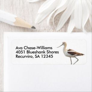 Avocet Bird Strullande stranden i stranden Returadress Etikett