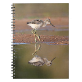 Avocet-chick Anteckningsbok