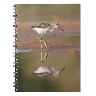 Avocet-chick Anteckningsbok