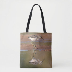 Avocet-chick Tygkasse