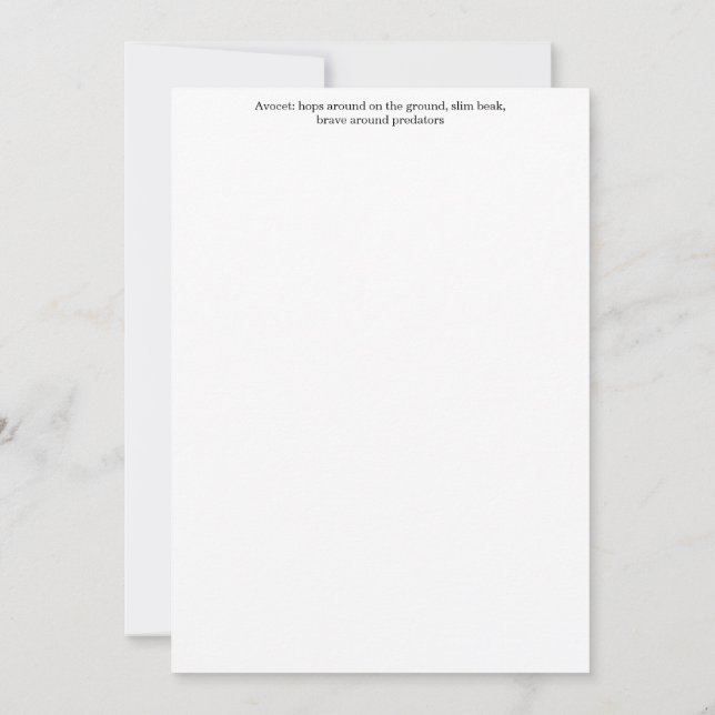 Avocet Greeting Card Inbjudningar (Baksida)