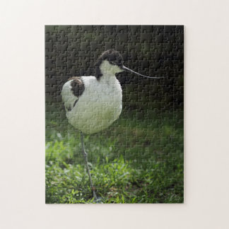 Avocet Pussel