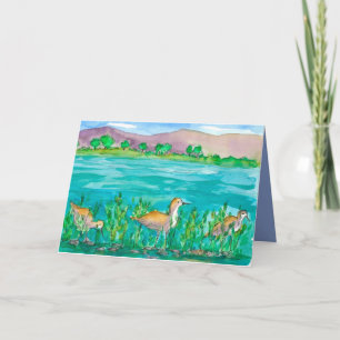 Avocet Sjö Shore Birds Grattis på födelsedagen Kort