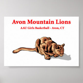 Avon Mountain Lejon - Basketball Klubb Poster