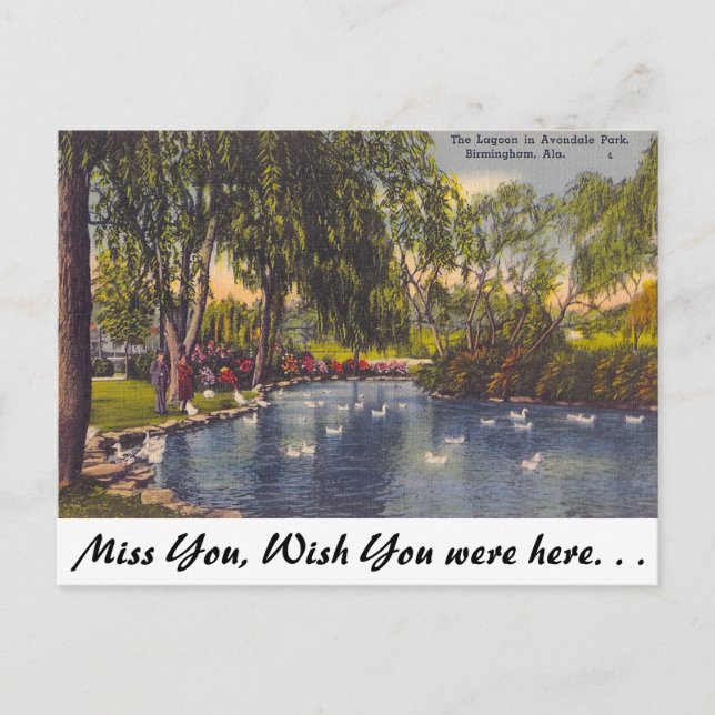 Avondale Park, Birmingham, AL Vykort (Framsida)