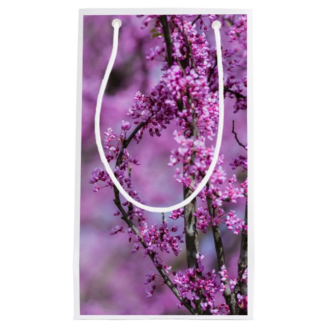 Avondale Redbud Art (Framsidan)