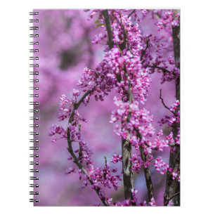Avondale Redbud Art Anteckningsbok