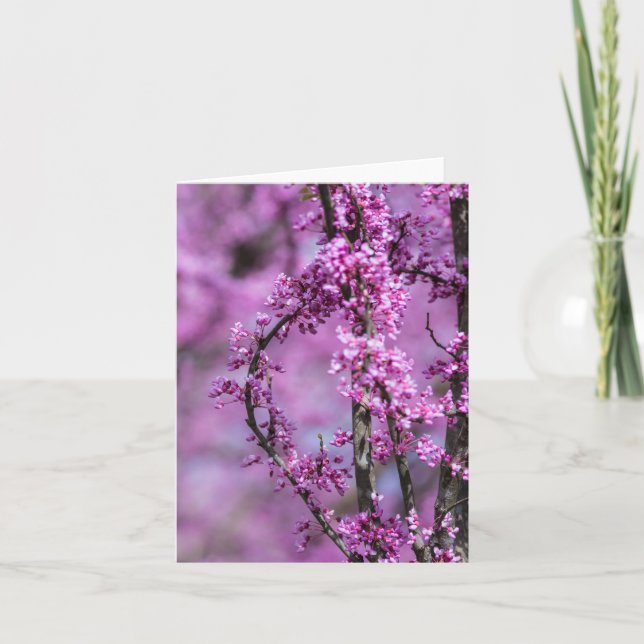 Avondale Redbud Art Kort (Framsida)