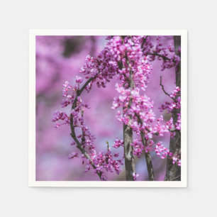Avondale Redbud Art Pappersservett