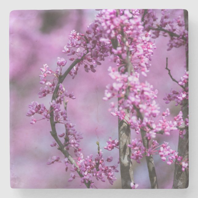 Avondale Redbud Art Stenunderlägg (Framsidan)