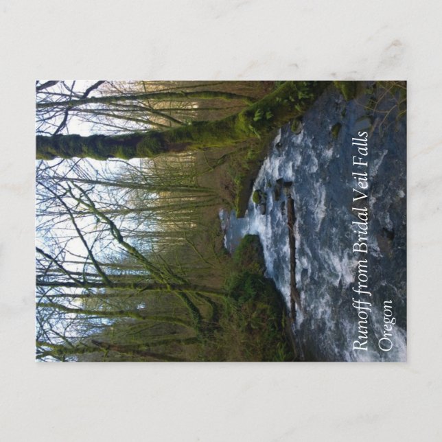 Avrinning från Bridal Veil Falls, OR Vykort (Framsida)