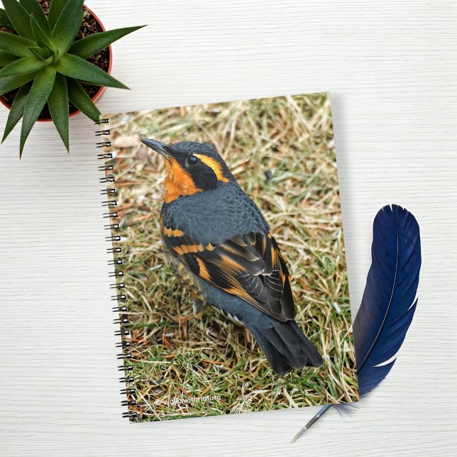 Avrörande varierad hast på Gräsmatta Anteckningsbok Med Spiral (Varied Thrush on the Grass Journal Cover Photo)