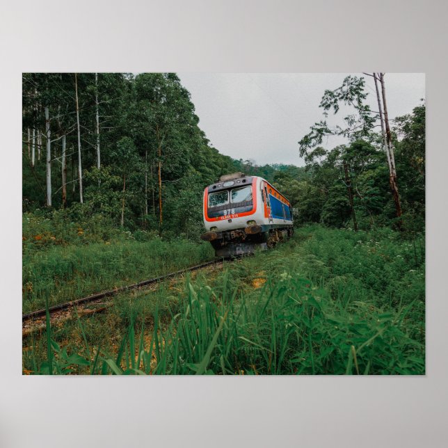 Avsaltningståg Sri Lanka Poster (Framsidan)