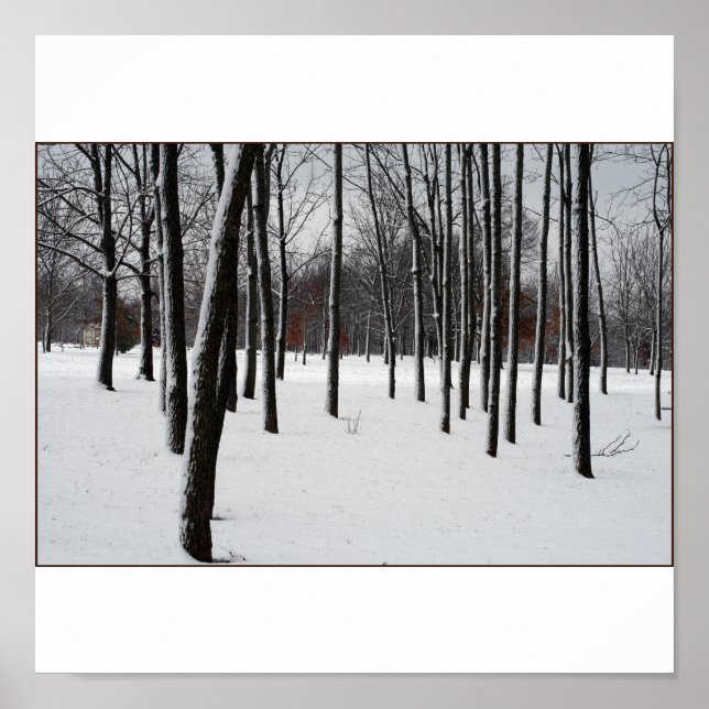 AVSÄNDNINGAR POSTER (Framsidan)