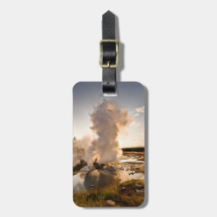 AvsatsGeyser, Norris Geyserhandfat Bagagebricka