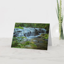 Avsatsnedgångar 4 kort