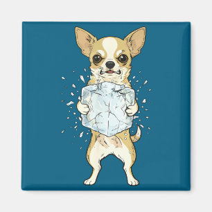 Avskaffa is rolig chihuahua ingen is hund meme magnet