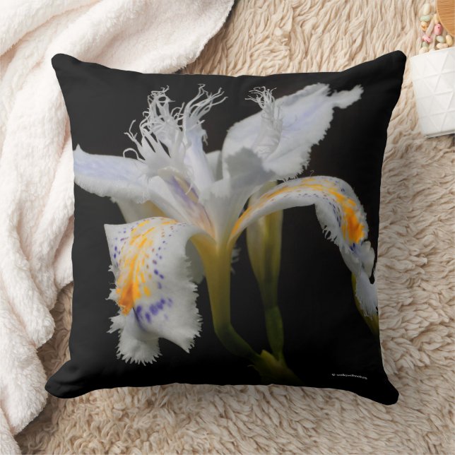 Avskärande Blommigt Crested Iris Japonica Flower Kudde (Filt)