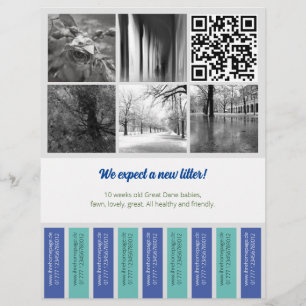 Avskärning av den blå grönten med hjälp av flygbla reklamblad