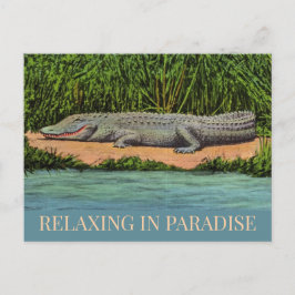 Avslappnad Florida Gator vykort