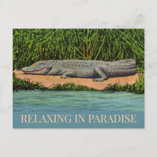 Avslappnad Florida Gator vykort