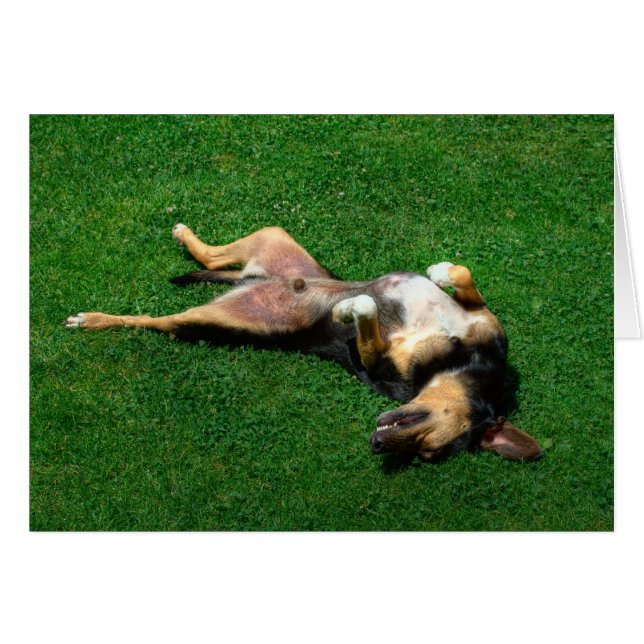 avslappnad hälsningskort (Framsidan Horizontal)