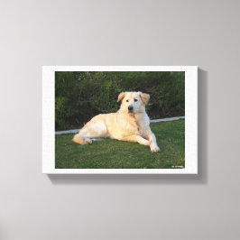 Avslappnad hund canvastryck