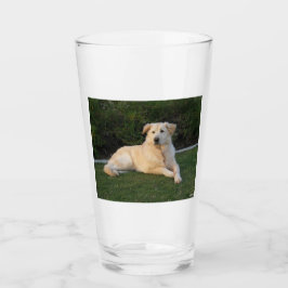 Avslappnad hund glaskopp