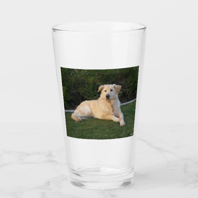 Avslappnad hund glaskopp (Framsida)