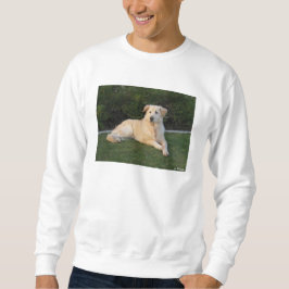 Avslappnad hund lång ärmad tröja