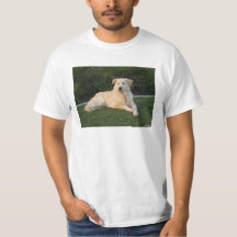 Avslappnad hund