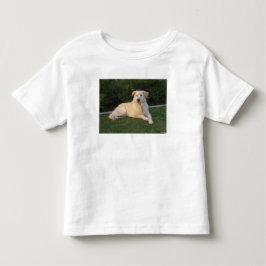Avslappnad hund t shirt