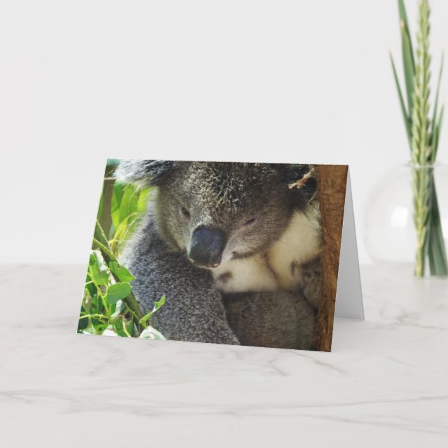 Avslappnad Koala-hälsningskort Kort (Framsida)
