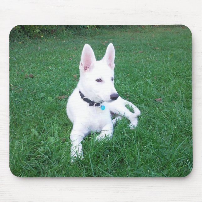 Avslappnande herde Mousemat Musmatta (Framsidan)